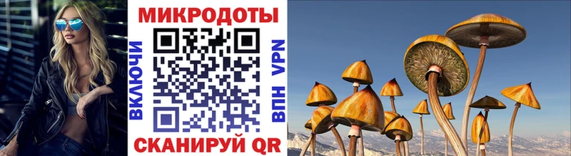 Купить закладки  Кувшиново  Галлюциногенные грибы прущие грибы 