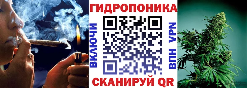 Бошки Шишки тримм  Купить закладки  Кувшиново 
